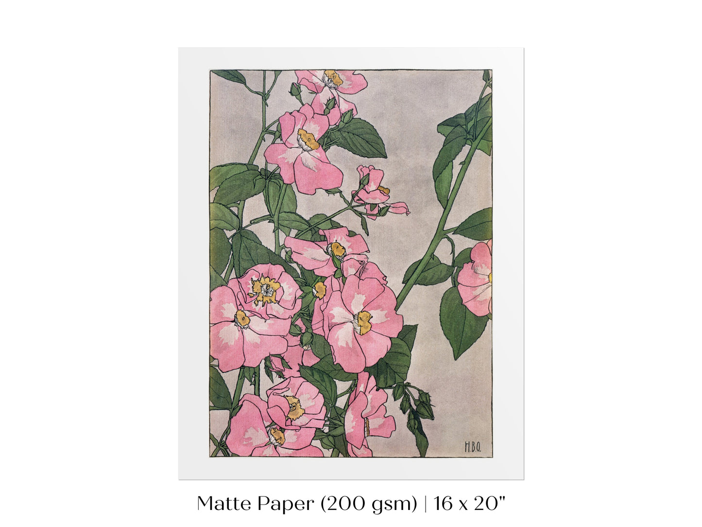 Prairie Rose | P54