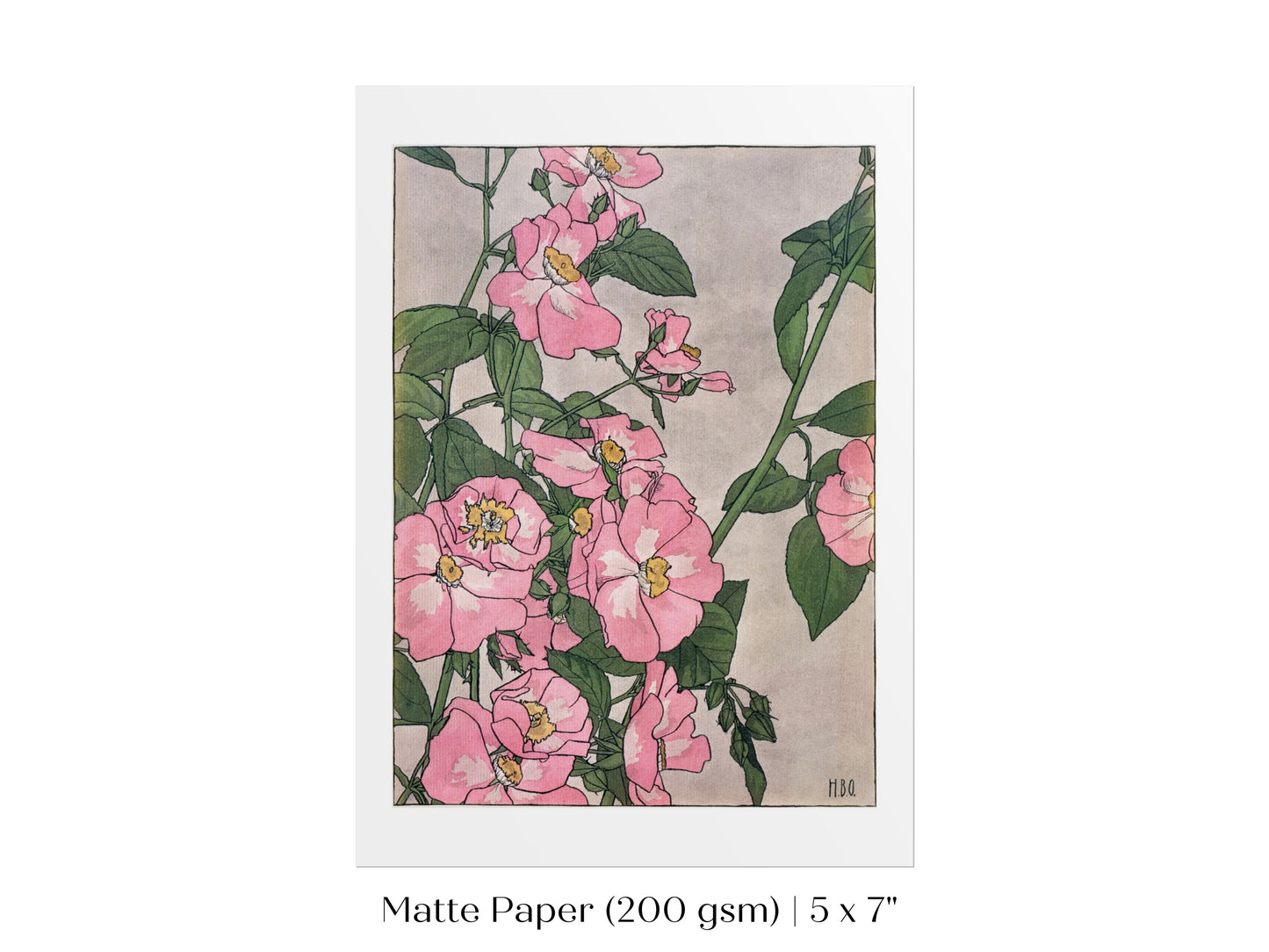Prairie Rose | P54