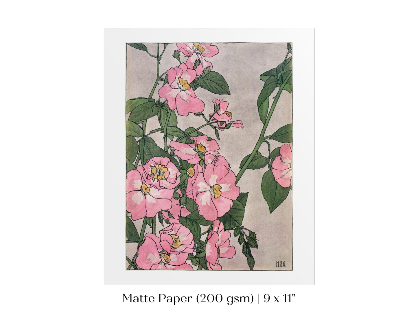 Prairie Rose | P54