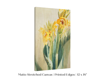 Cana Lily | P61