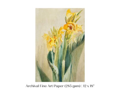 Cana Lily | P61