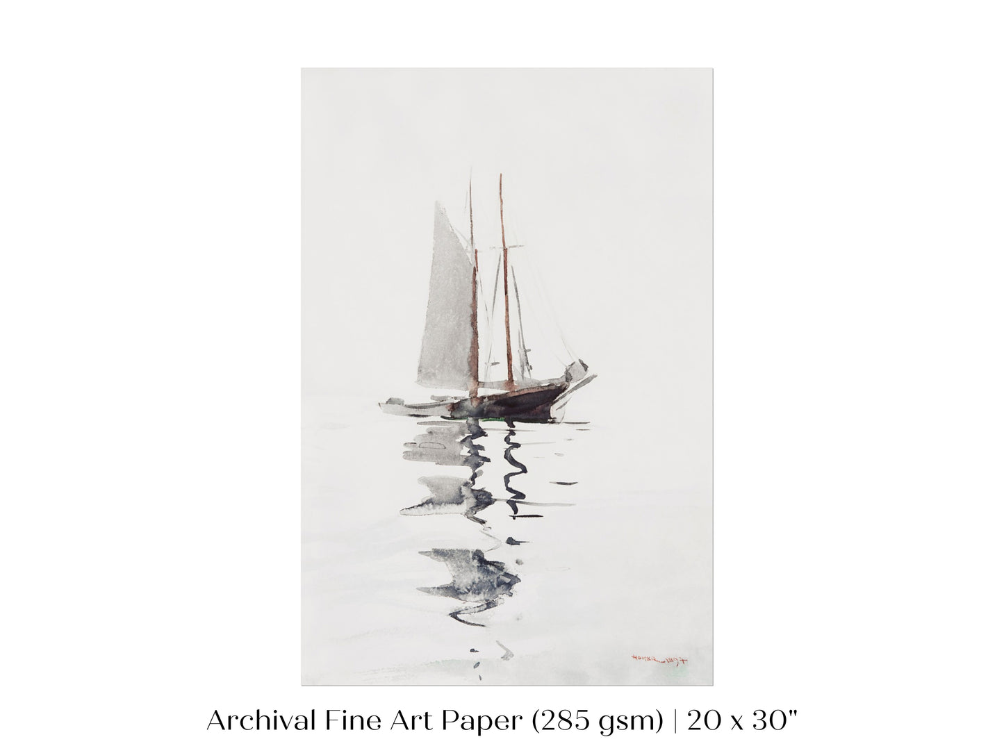 Schooner | P73