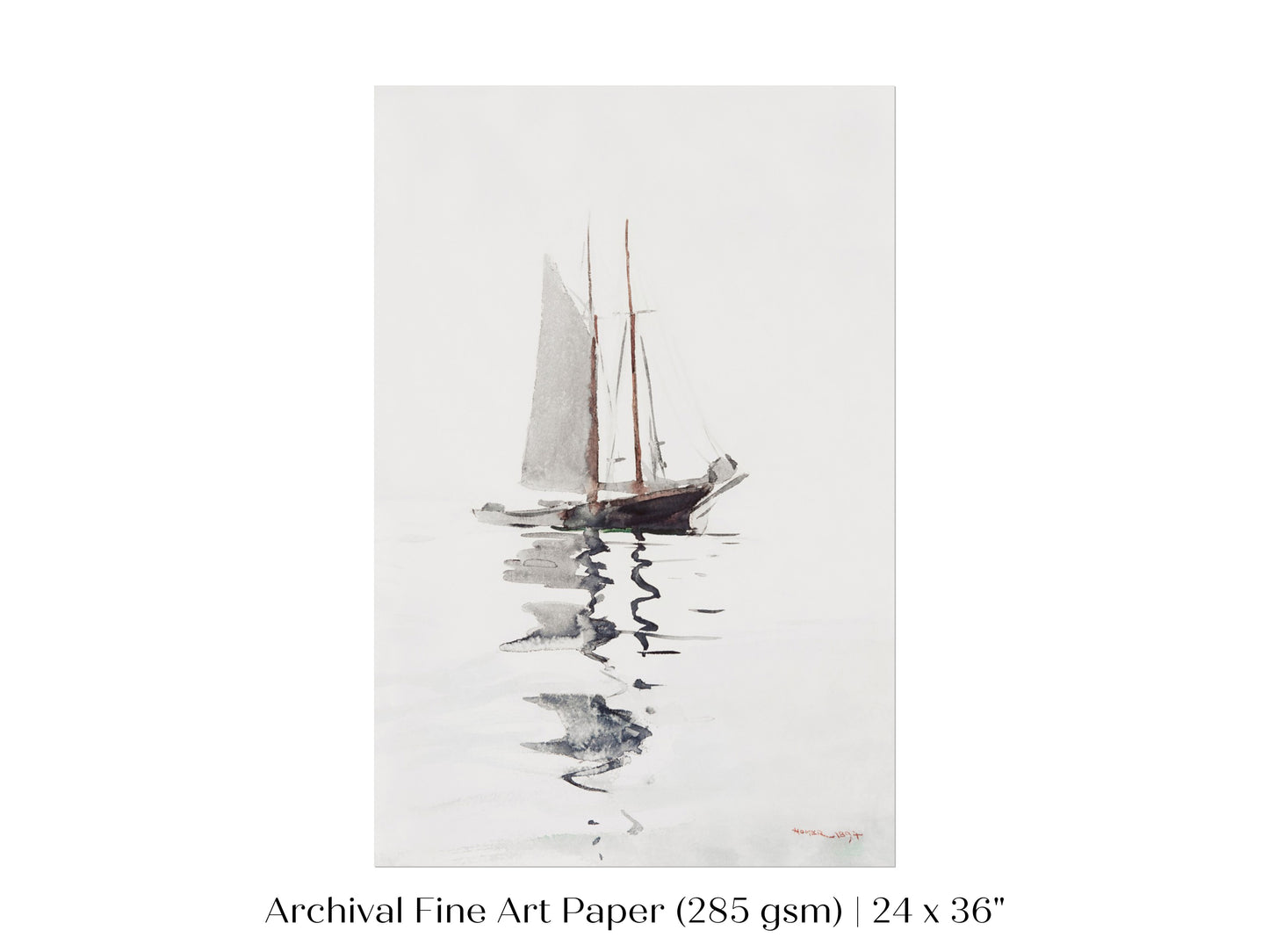 Schooner | P73