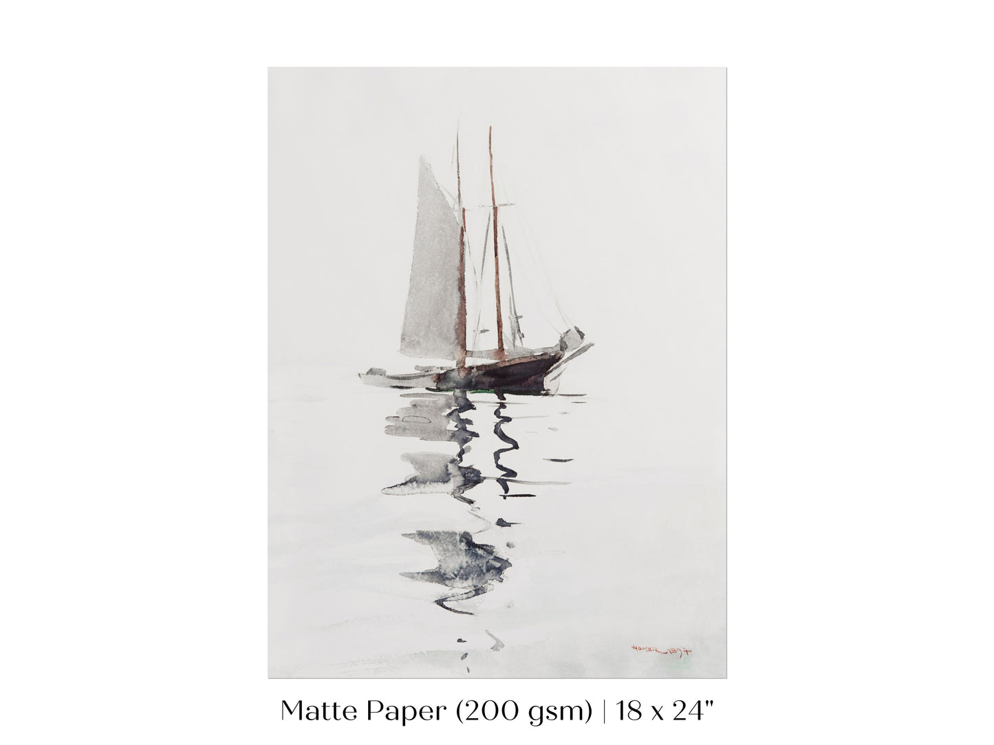 Schooner | P73