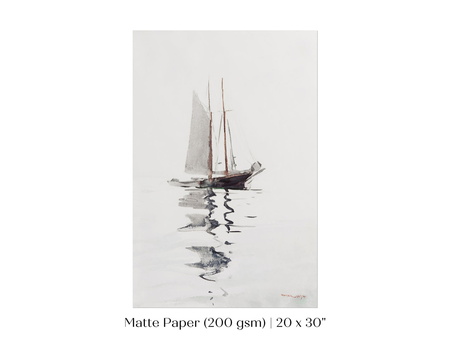Schooner | P73