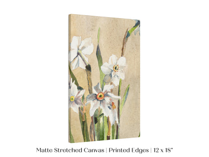 White Narcissus | P77