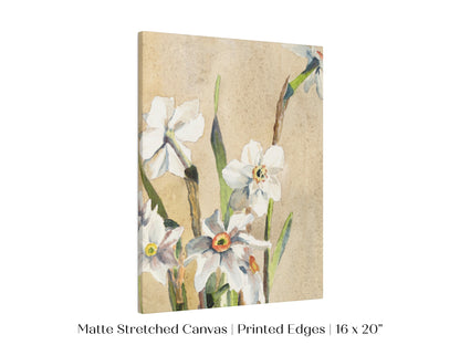 White Narcissus | P77