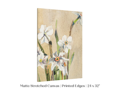 White Narcissus | P77
