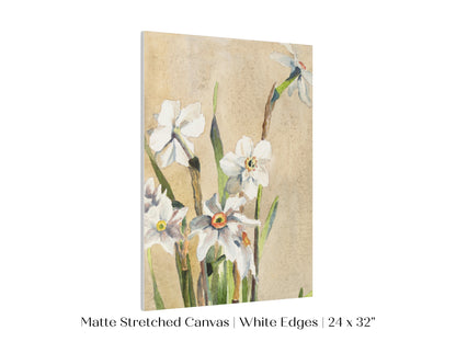 White Narcissus | P77