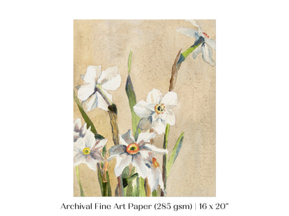 White Narcissus | P77