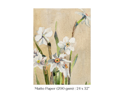 White Narcissus | P77