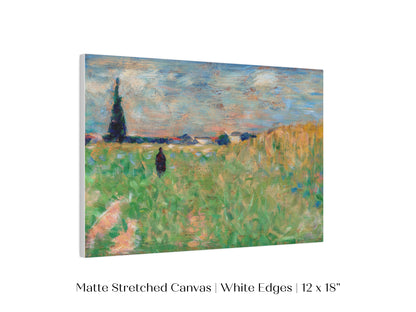 Summer Landscape | P83
