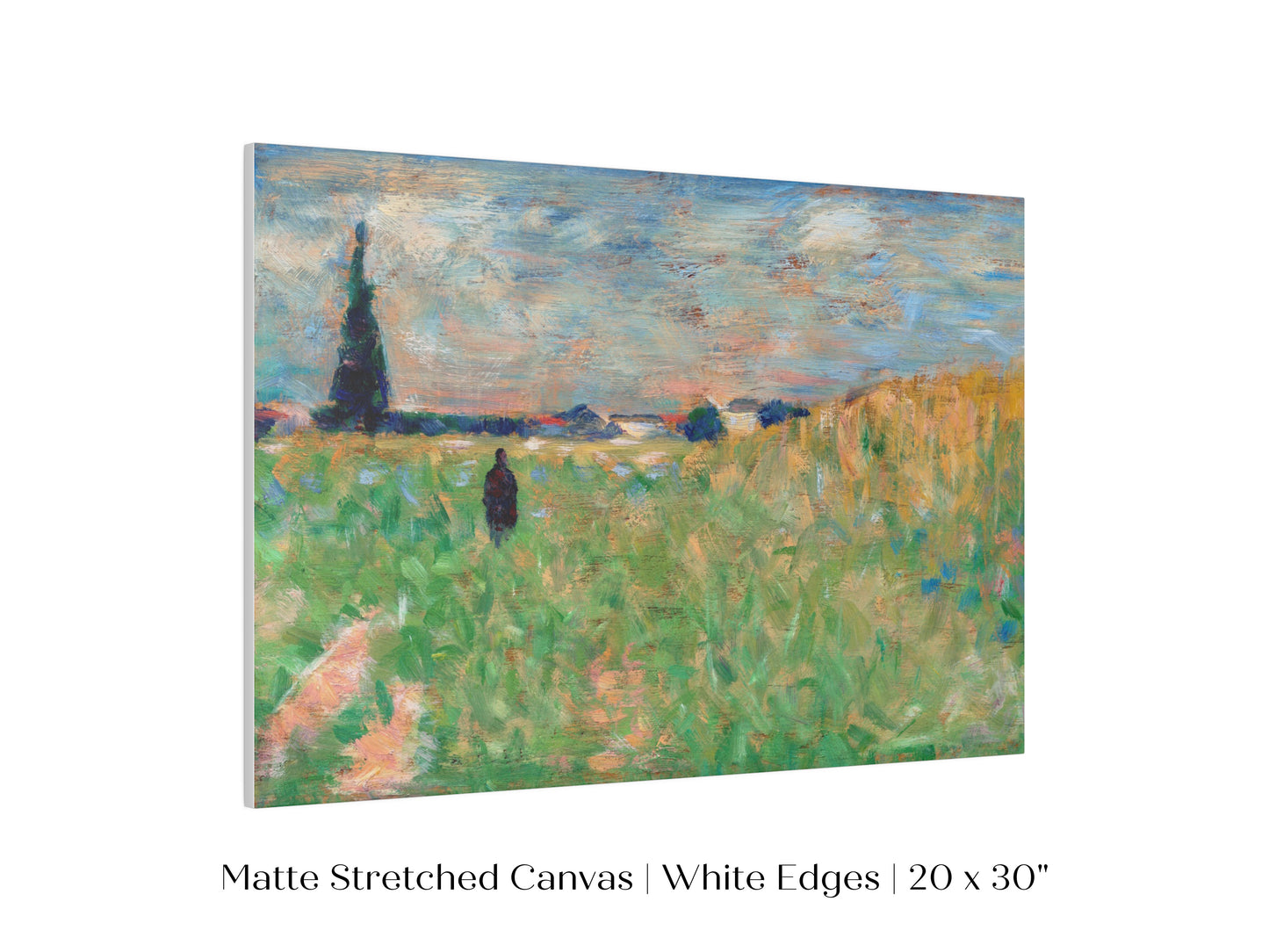 Summer Landscape | P83