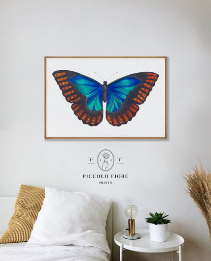 Eclectic Blue Butterflies | Gallery Wall Set | 4 Prints | S10-1.5