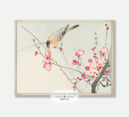 Birds and Flowers | Gallery Wall Set | 8 Prints | M8-2