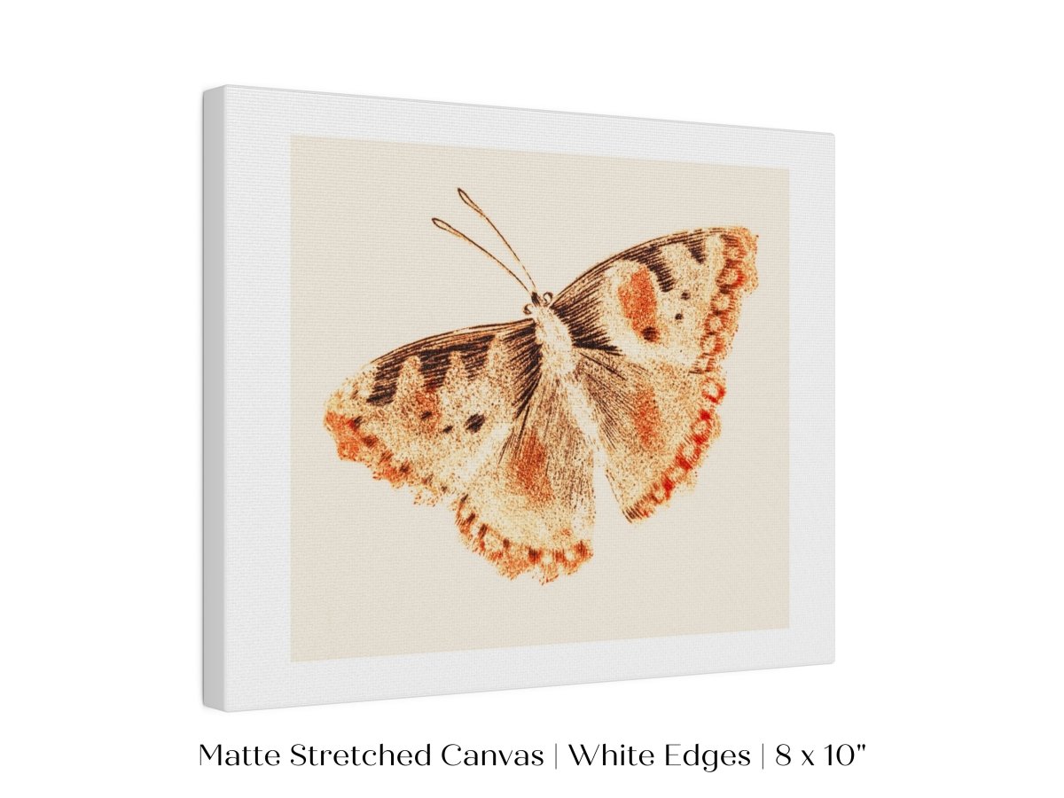 A Butterfly | P82 - Single Art Prints - Piccolo Fiore Prints