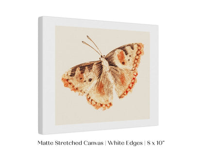 A Butterfly | P82 - Single Art Prints - Piccolo Fiore Prints