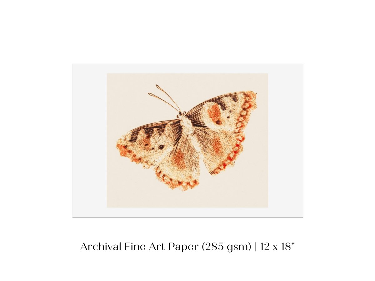 A Butterfly | P82 - Single Art Prints - Piccolo Fiore Prints