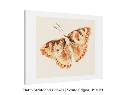 A Butterfly | P82 - Single Art Prints - Piccolo Fiore Prints