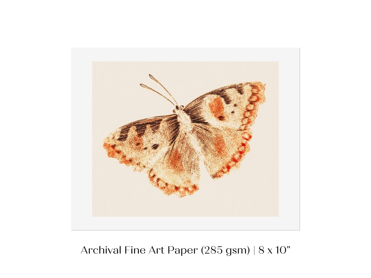 A Butterfly | P82 - Single Art Prints - Piccolo Fiore Prints