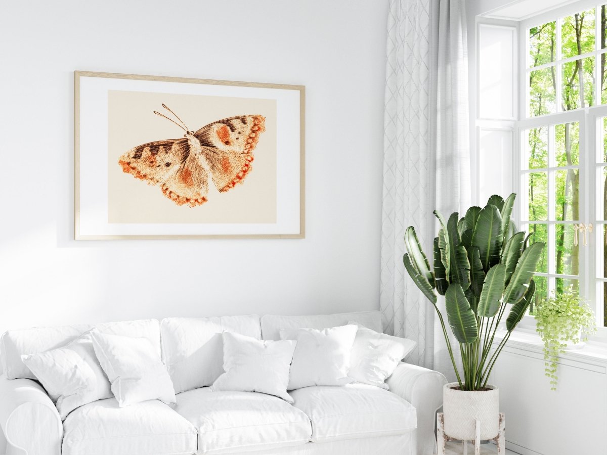 A Butterfly | P82 - Single Art Prints - Piccolo Fiore Prints