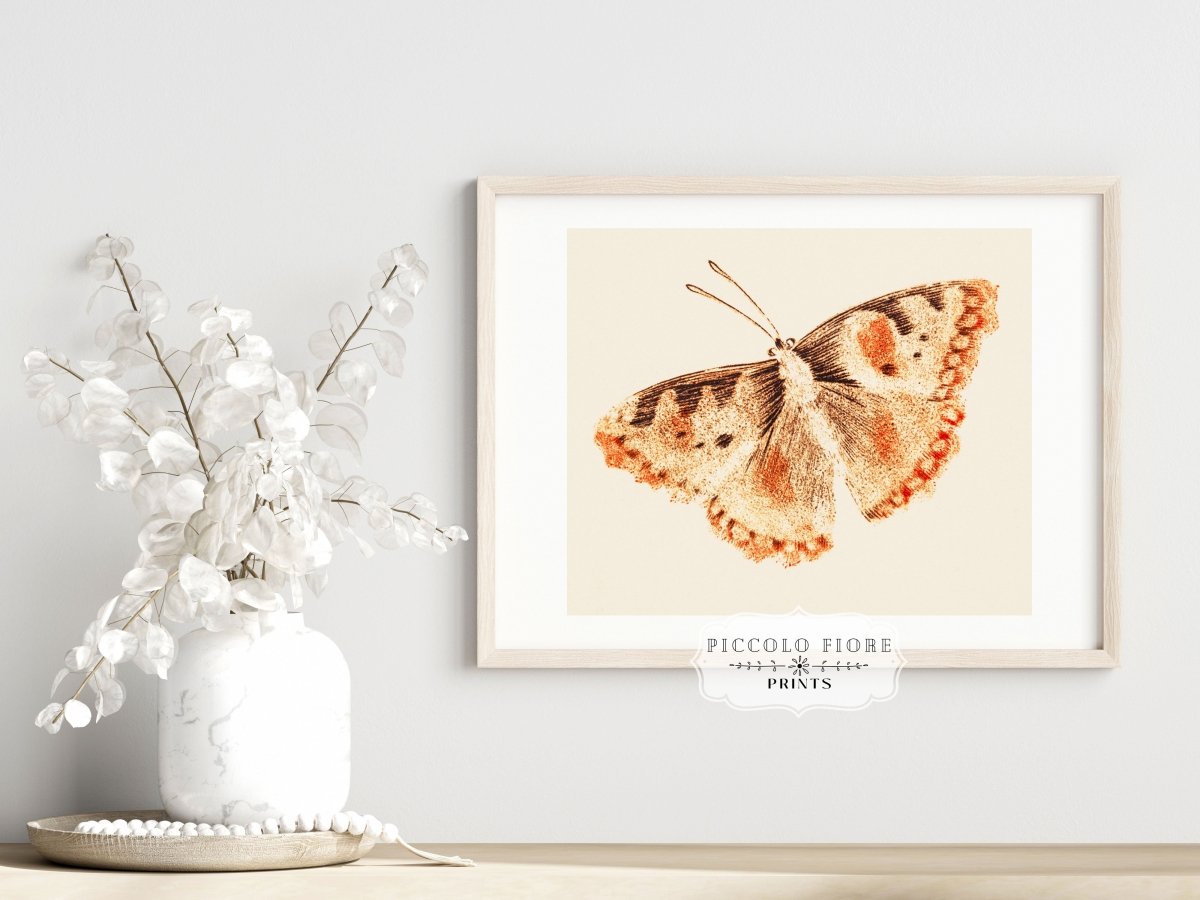 A Butterfly | P82 - Single Art Prints - Piccolo Fiore Prints