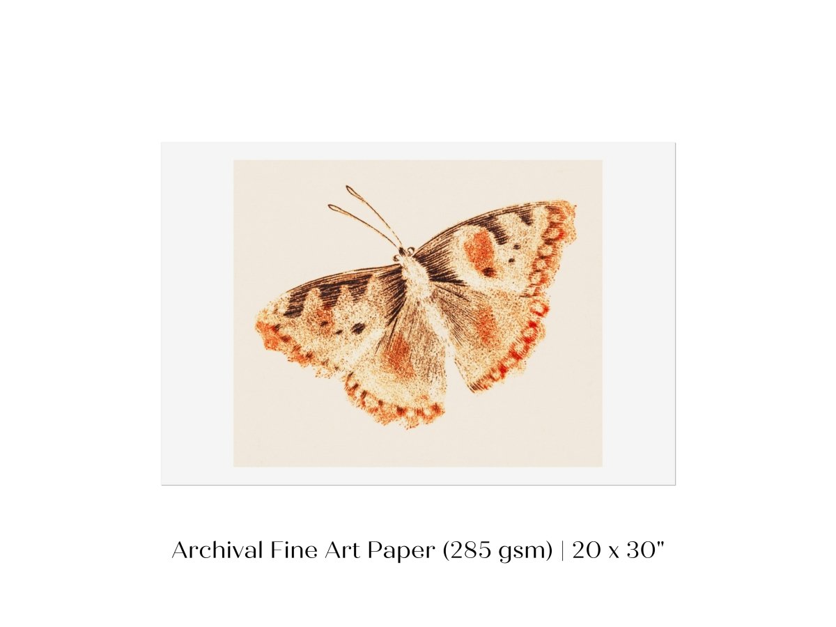 A Butterfly | P82 - Single Art Prints - Piccolo Fiore Prints