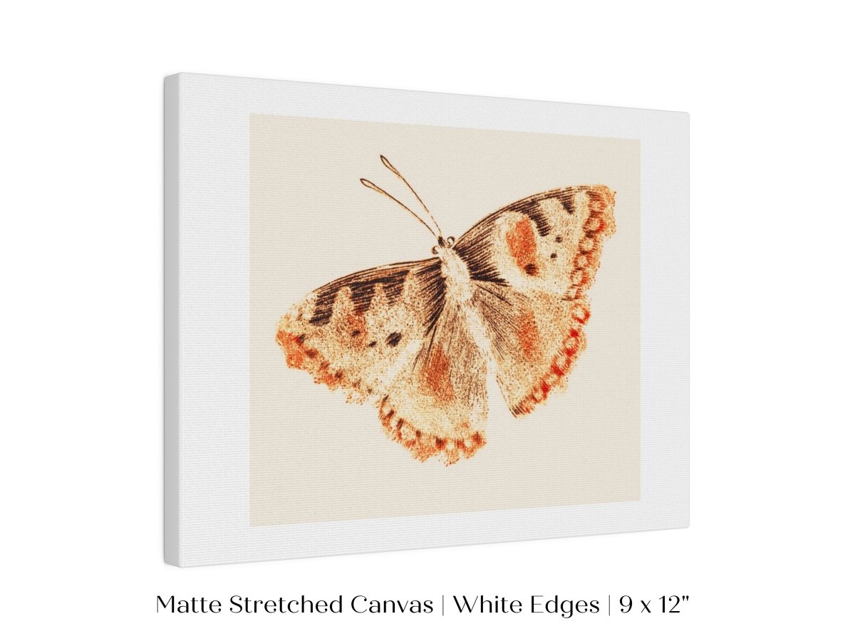 A Butterfly | P82 - Single Art Prints - Piccolo Fiore Prints