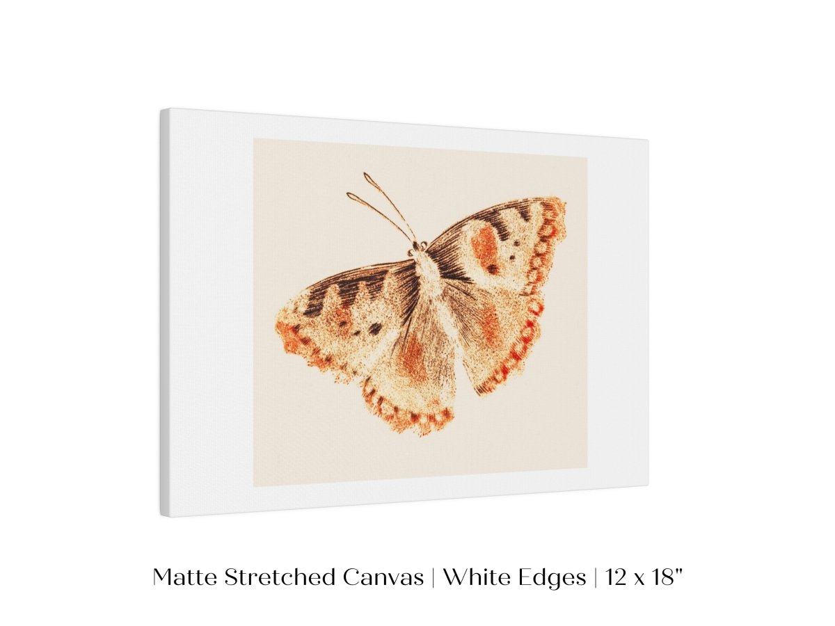 A Butterfly | P82 - Single Art Prints - Piccolo Fiore Prints