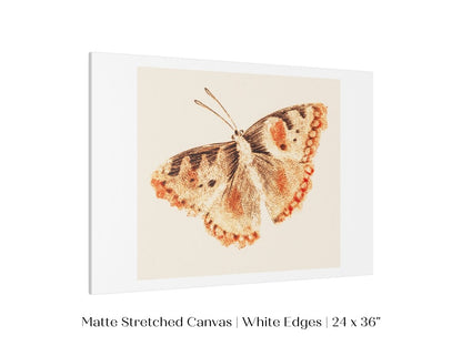 A Butterfly | P82 - Single Art Prints - Piccolo Fiore Prints
