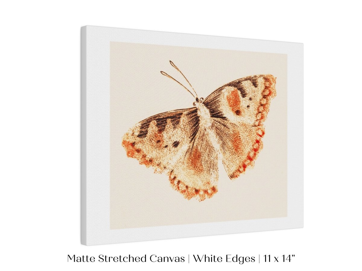 A Butterfly | P82 - Single Art Prints - Piccolo Fiore Prints