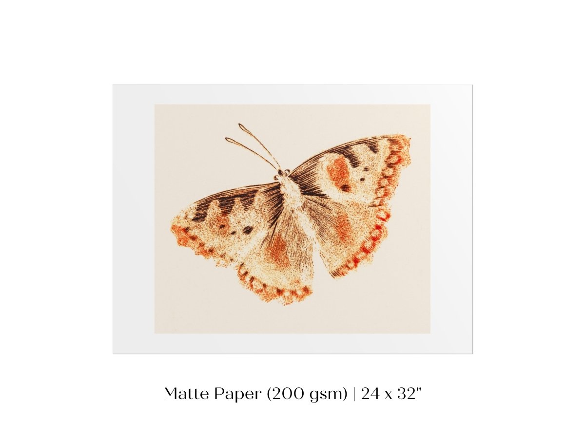 A Butterfly | P82 - Single Art Prints - Piccolo Fiore Prints