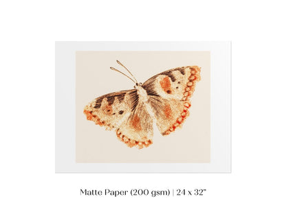 A Butterfly | P82 - Single Art Prints - Piccolo Fiore Prints