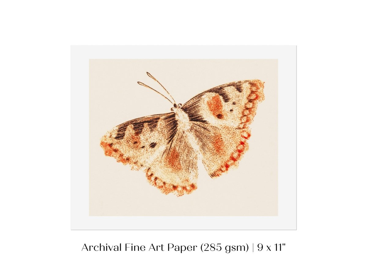 A Butterfly | P82 - Single Art Prints - Piccolo Fiore Prints