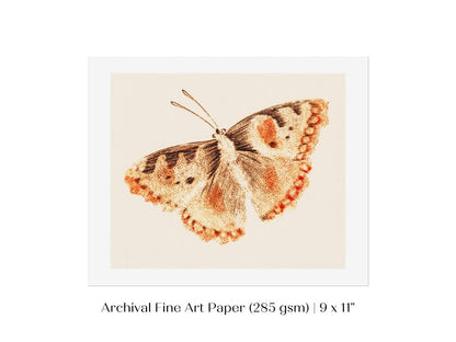 A Butterfly | P82 - Single Art Prints - Piccolo Fiore Prints