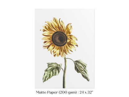 A Sunflower | P39 - Single Art Prints - Piccolo Fiore Prints