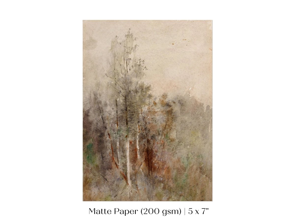 A Tree Study | P246 - Single Art Prints - Piccolo Fiore Prints