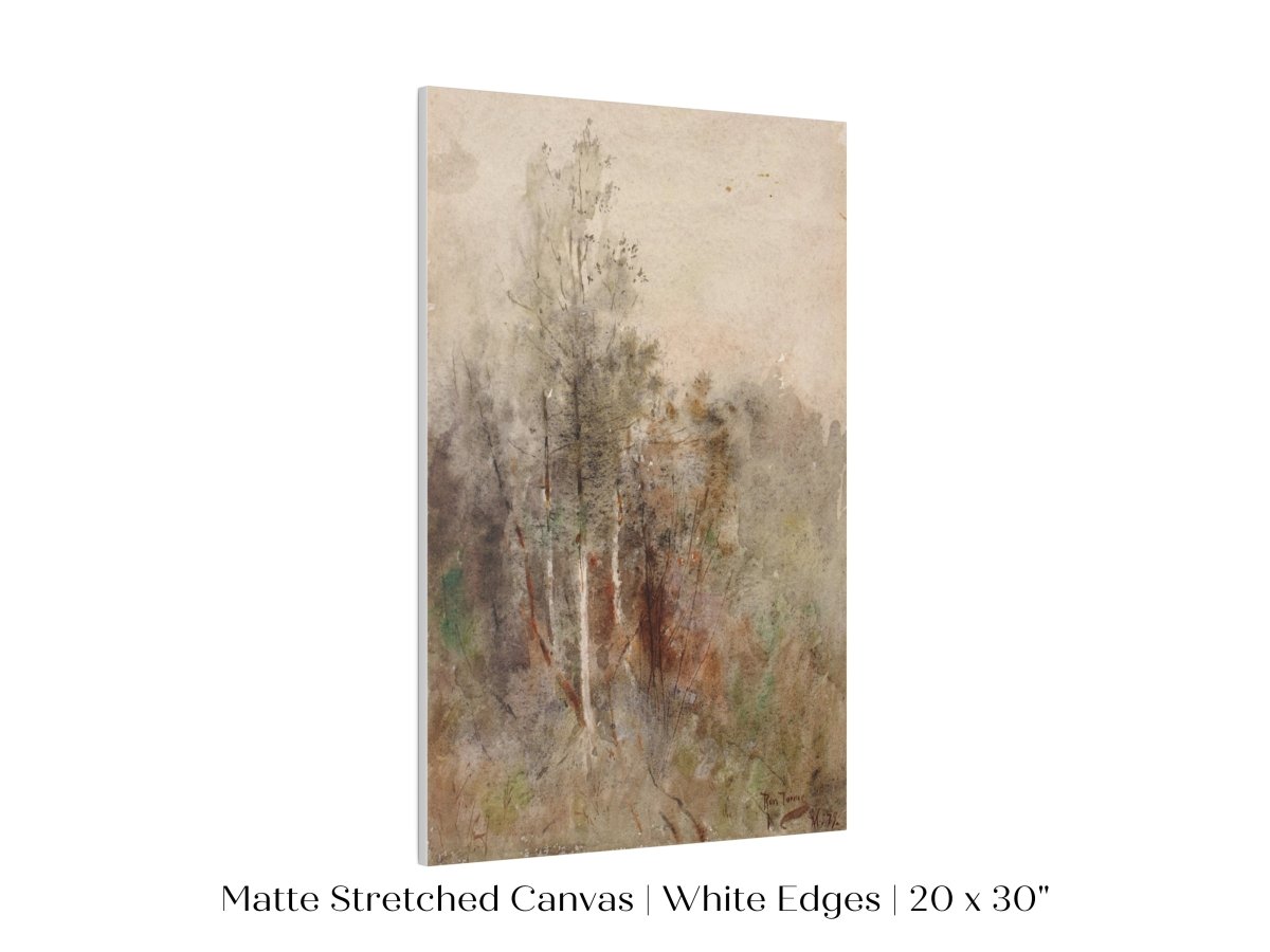 A Tree Study | P246 - Single Art Prints - Piccolo Fiore Prints