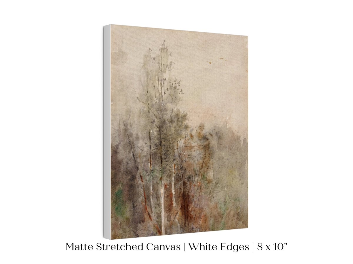 A Tree Study | P246 - Single Art Prints - Piccolo Fiore Prints