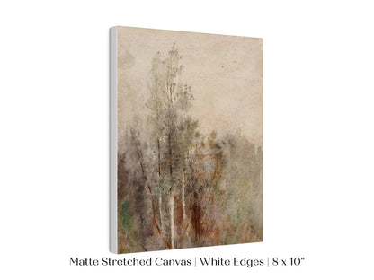 A Tree Study | P246 - Single Art Prints - Piccolo Fiore Prints