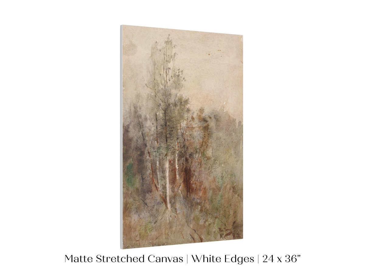 A Tree Study | P246 - Single Art Prints - Piccolo Fiore Prints