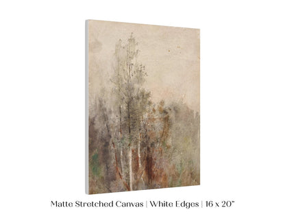 A Tree Study | P246 - Single Art Prints - Piccolo Fiore Prints