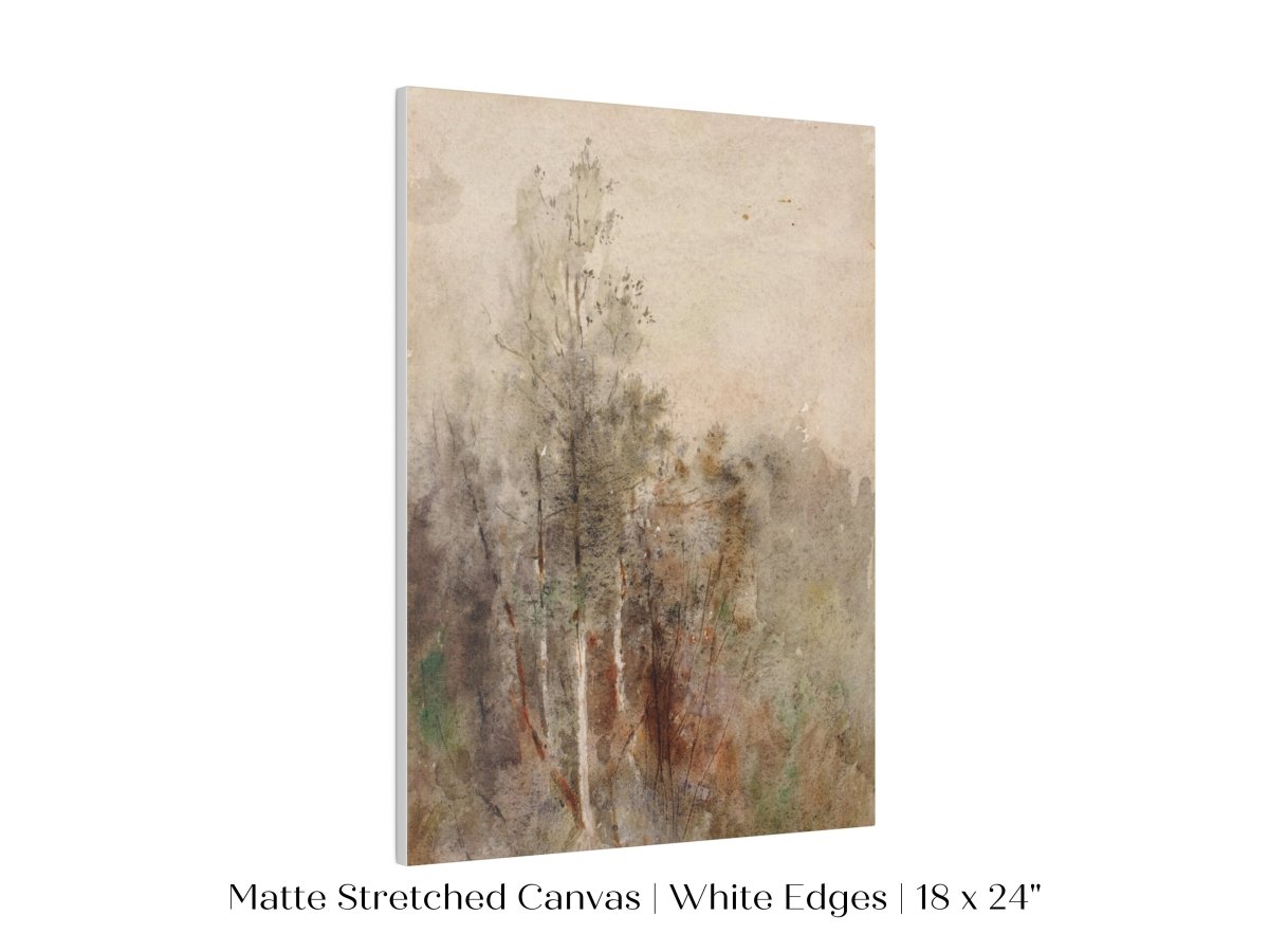 A Tree Study | P246 - Single Art Prints - Piccolo Fiore Prints