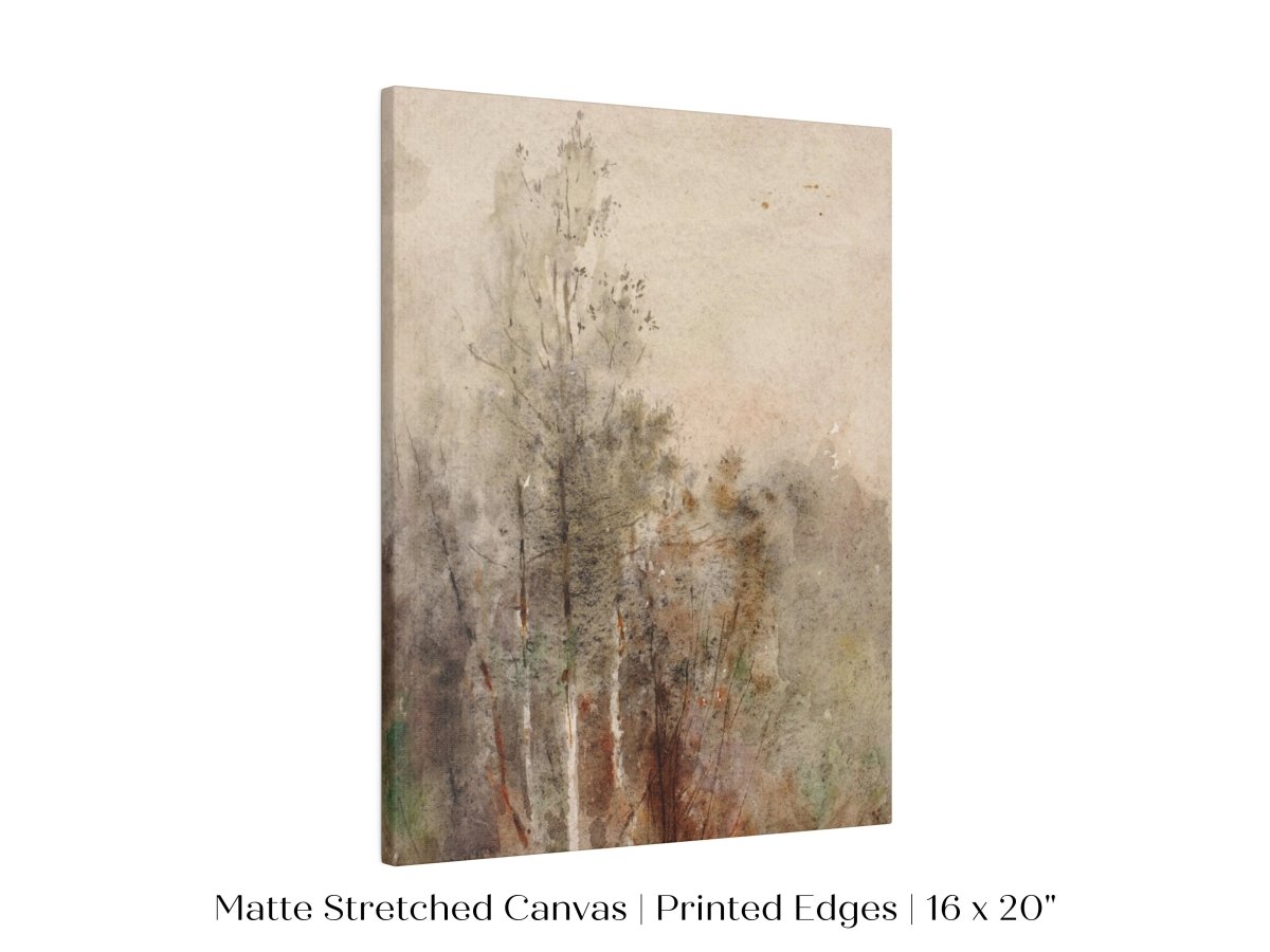 A Tree Study | P246 - Single Art Prints - Piccolo Fiore Prints