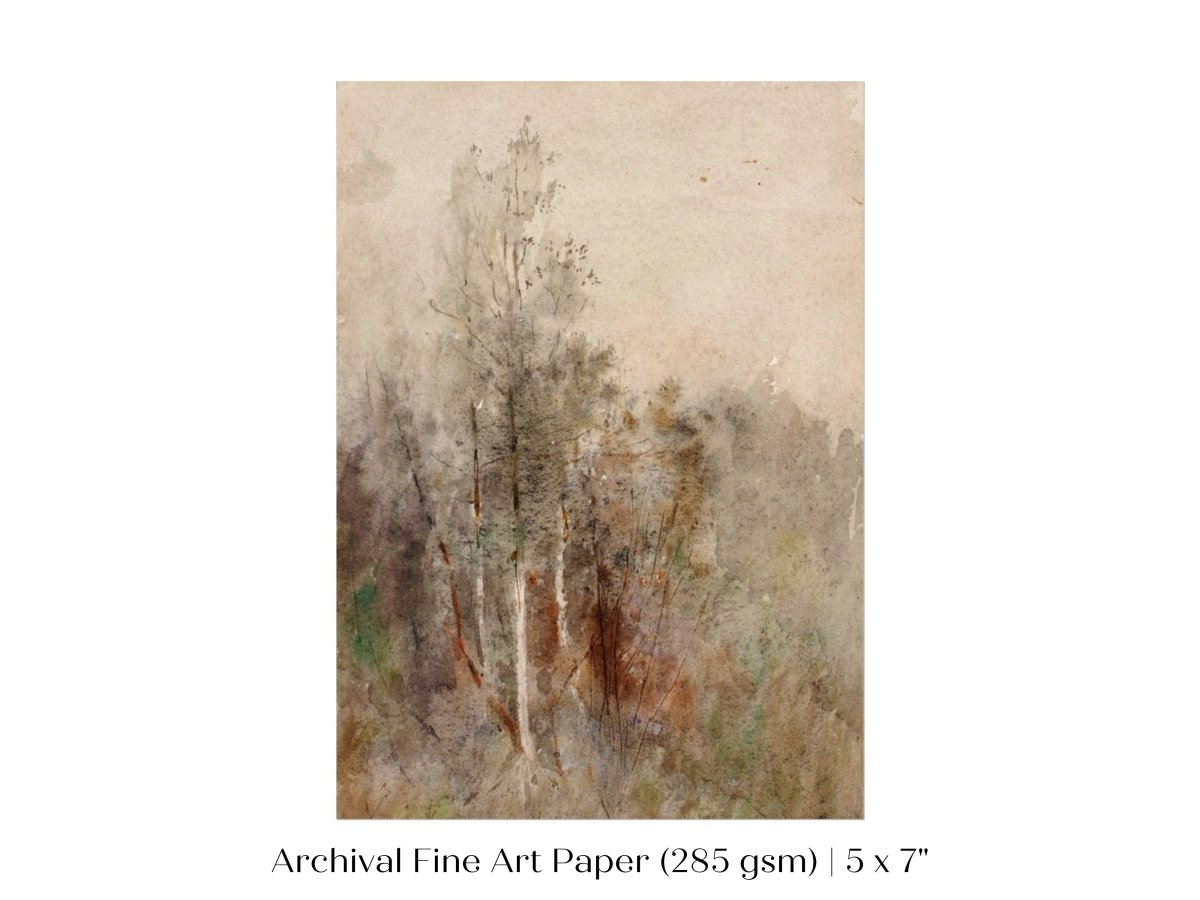 A Tree Study | P246 - Single Art Prints - Piccolo Fiore Prints