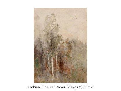 A Tree Study | P246 - Single Art Prints - Piccolo Fiore Prints