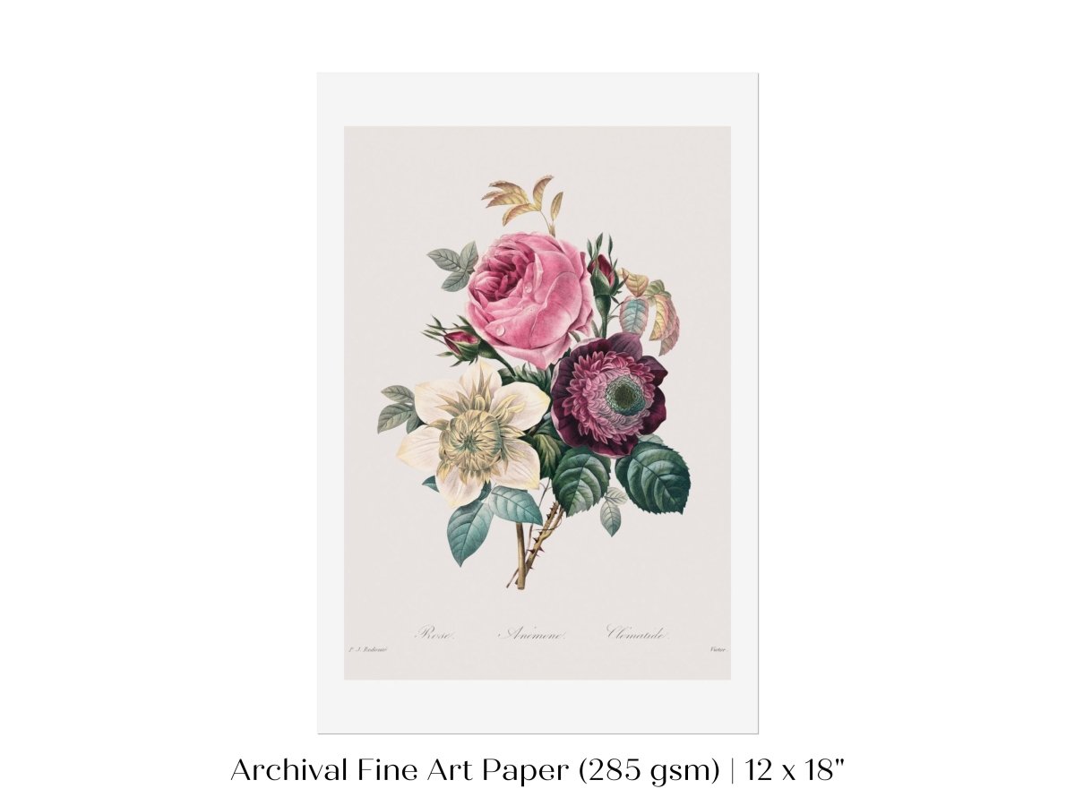 Anemone and Cabbage Rose Illustration | P492 - Single Art Prints - Piccolo Fiore Prints