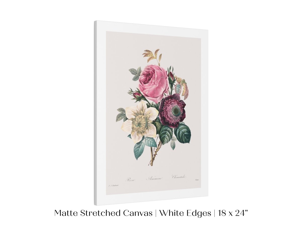 Anemone and Cabbage Rose Illustration | P492 - Single Art Prints - Piccolo Fiore Prints