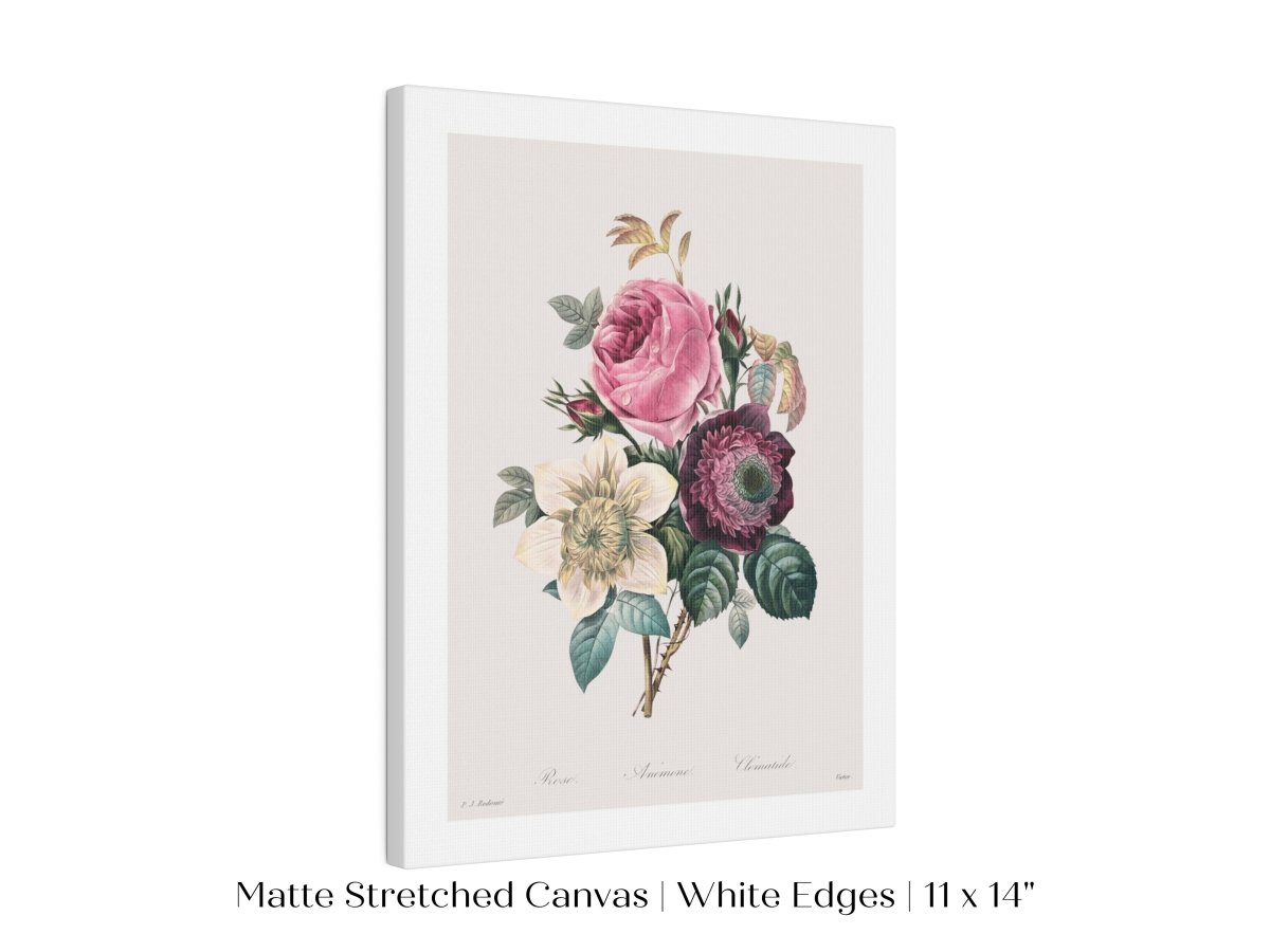 Anemone and Cabbage Rose Illustration | P492 - Single Art Prints - Piccolo Fiore Prints