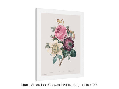 Anemone and Cabbage Rose Illustration | P492 - Single Art Prints - Piccolo Fiore Prints